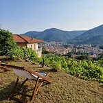 Gli amici di Carla