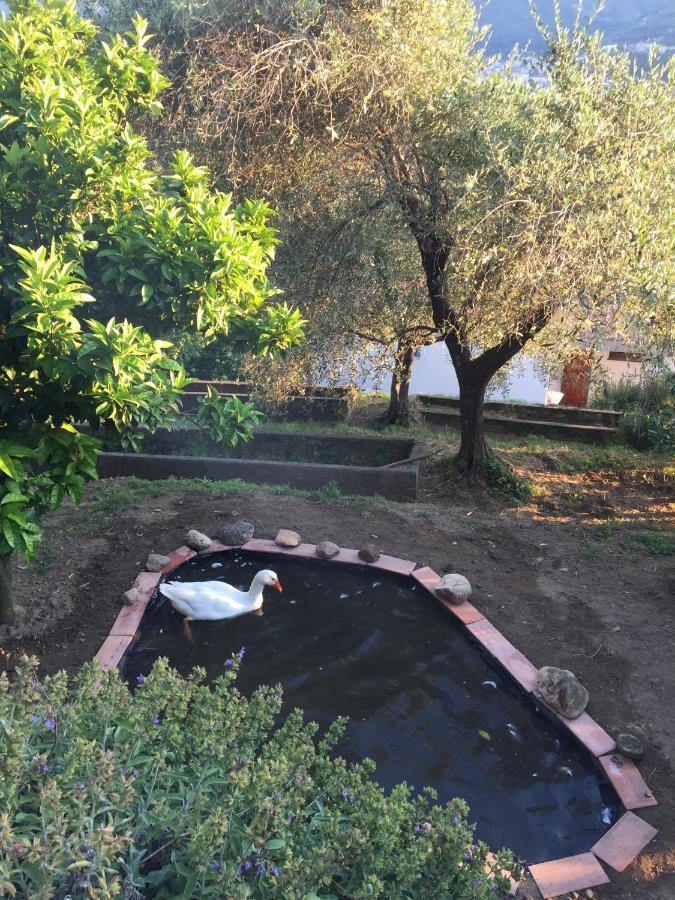Gli Amici Di Carla Affittacamere La Spezia