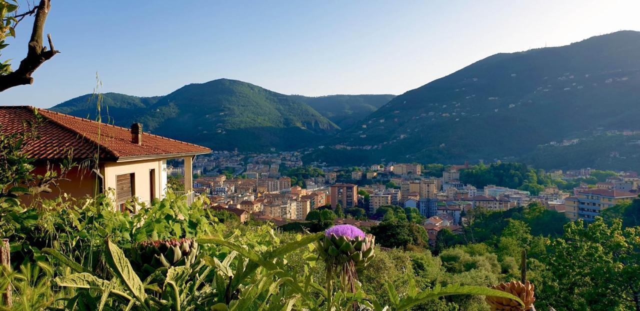 Affittacamere Gli Amici Di Carla La Spezia