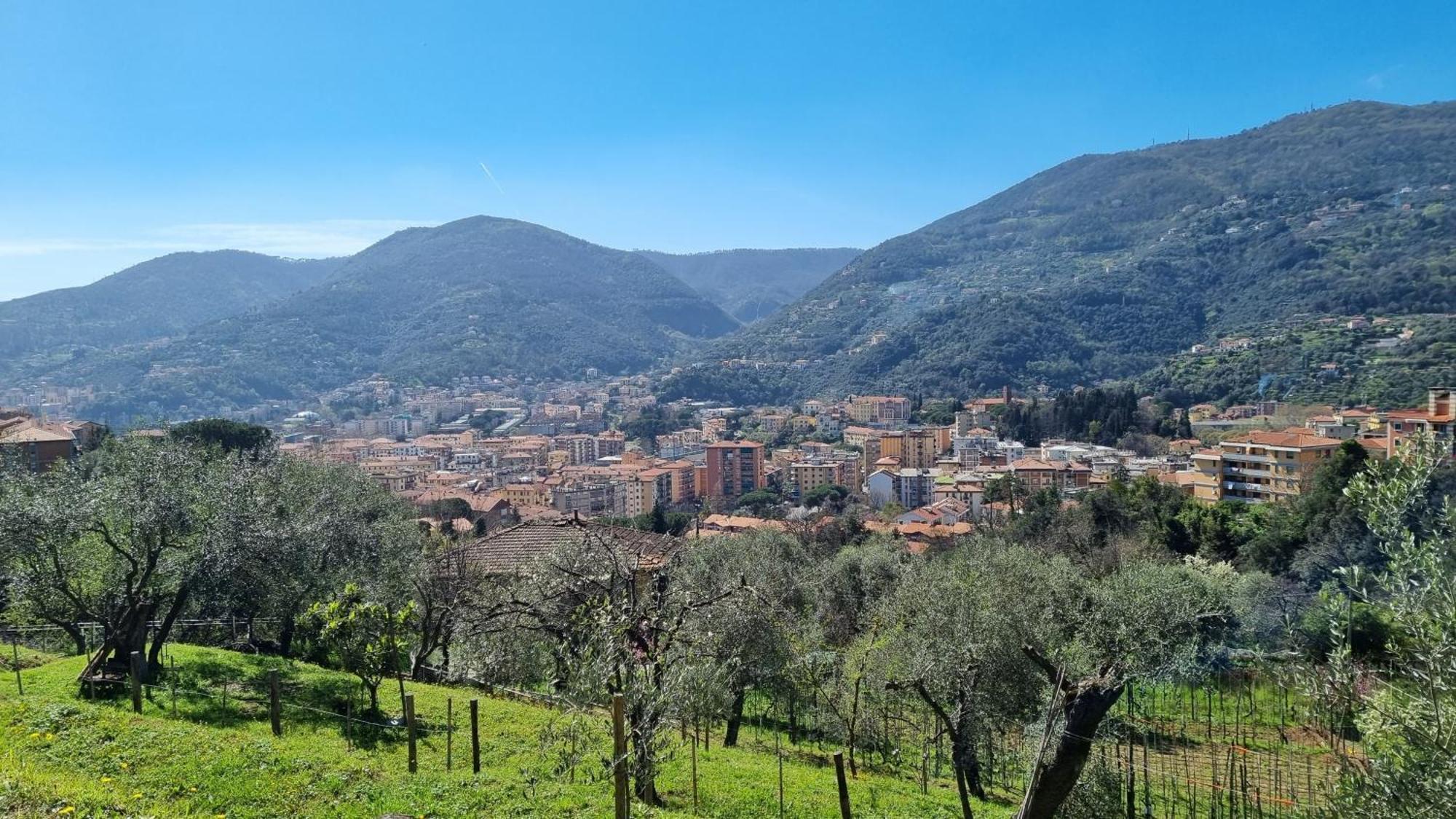Affittacamere Gli Amici Di Carla *